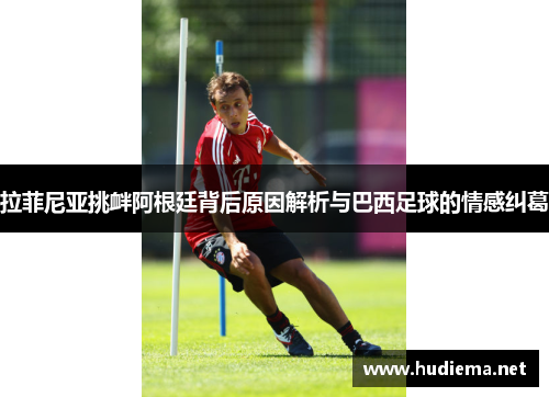 拉菲尼亚挑衅阿根廷背后原因解析与巴西足球的情感纠葛 拉菲尼亚挑衅阿根廷背后原因解析与巴西足球的情感纠葛