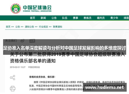 足协准入名单深度解读与分析对中国足球发展影响的多维度探讨